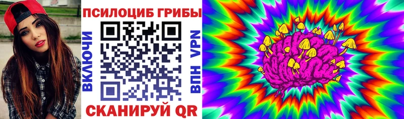 Псилоцибиновые грибы Cubensis купить Лысково